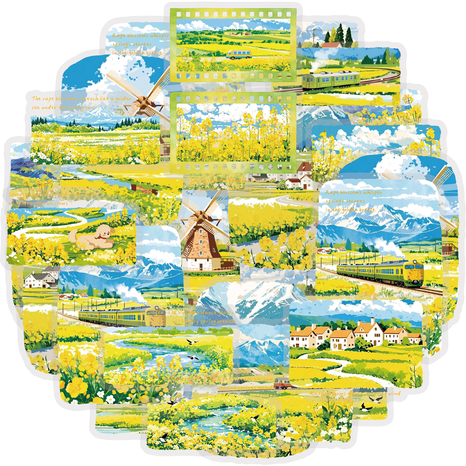 Home Decor Korea - Etori Life 30Pcs Spring Rapeseed Flower