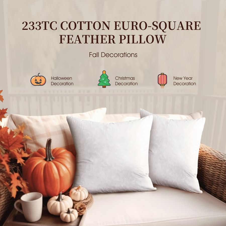 Feather Down Pillow Square Eur - Decorative Throw Pillow のレビューと価格