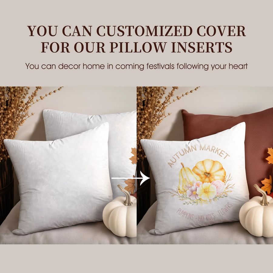 Feather Down Pillow Square Eur - Decorative Throw Pillow のレビューと価格