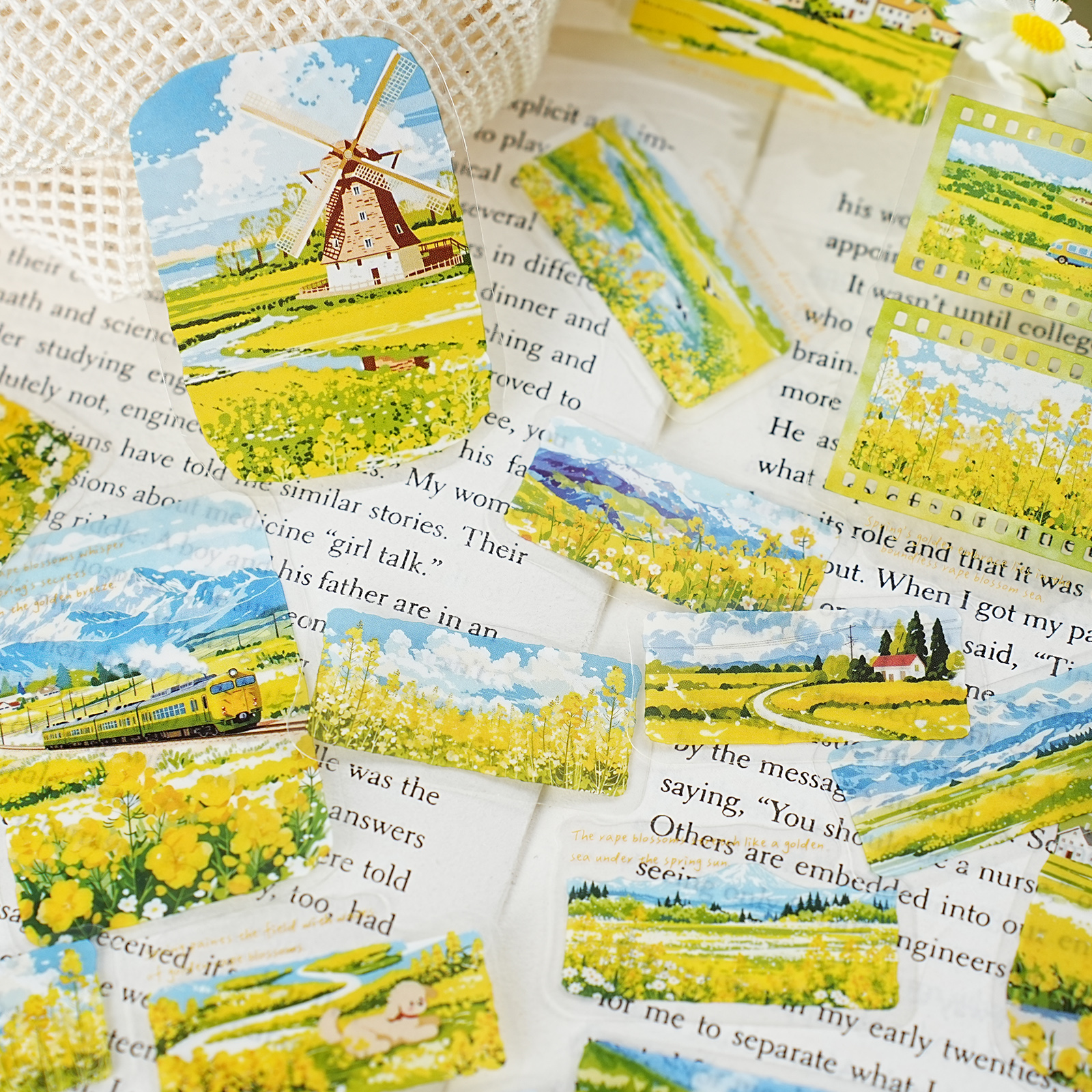 Etori Life 30Pcs Spring Rapese - Home Decor Korea のレビューと価格