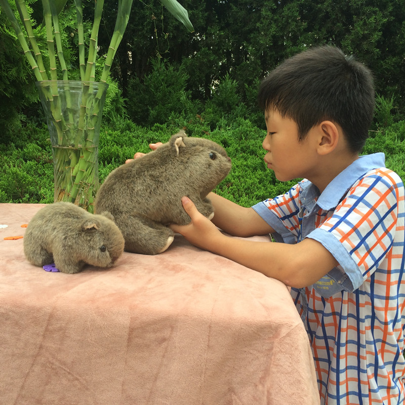 Lovely Cavia Porcellus Netherl - Home Decor Netherlands のレビューと価格