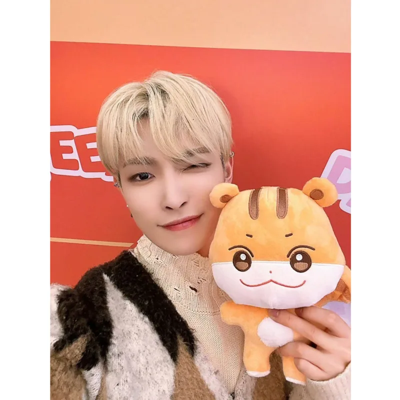 25cm ATEEZ Aniteez Plush Ateez - Home Decor Korea のレビューと価格