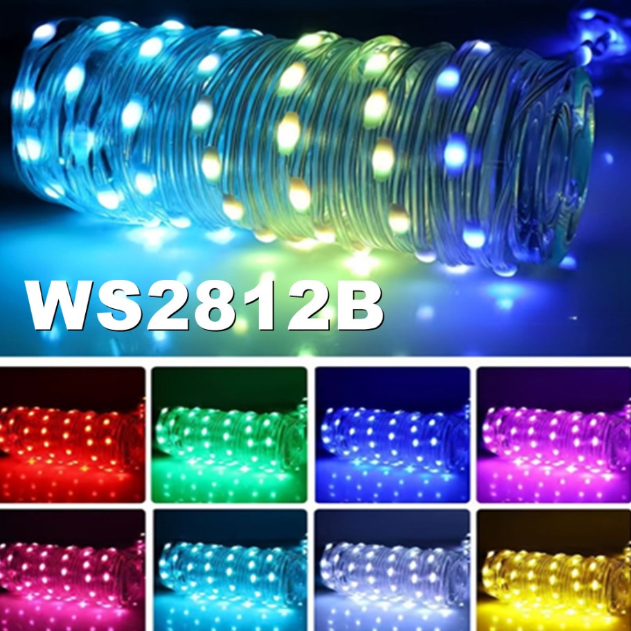 WS2812B LED Light String Smart - Home Decor Garland のレビューと価格