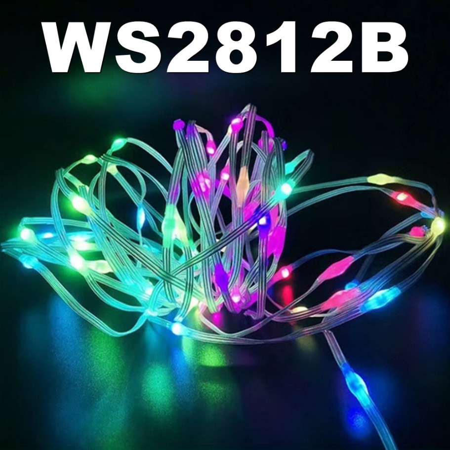 WS2812B LED Light String Smart - Home Decor Garland のレビューと価格